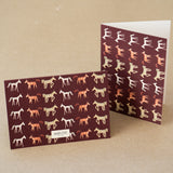 The Plum Pony Fold Card Box Set