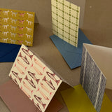 The Fish Fold Card Box Set